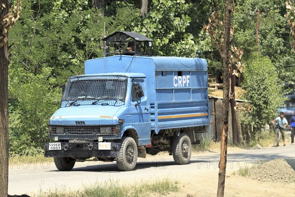 Blue police truck patrolling along a road lined with trees on a sunny day, Encounter, Pulwama, Jammu and Kashmir, India, Asia