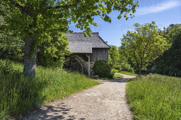 Traditional sawmill, built around 1766, high gang saw, original location: Unterkirnach in the Black Forest, open-air museum Neuhausen ob Eck, district of Tuttlingen, Baden-Wuerttemberg, Germany, Europe