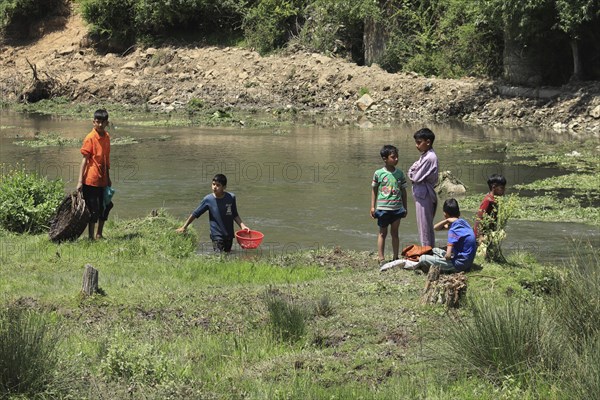 Children playing and working near a riverbank surrounded by lush greenery, Jammu and Kashmir, India, Asia