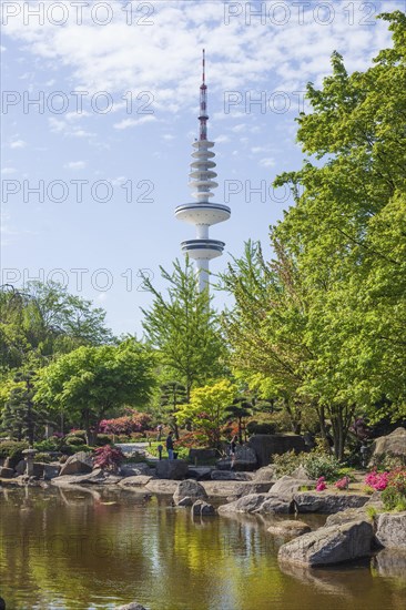 Japanese garden in the Planten un Blomen park with Hamburg television tower and park pond in spring, Hamburg, Germany, Europe