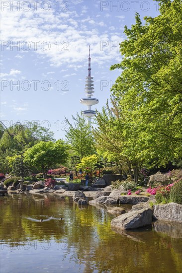 Japanese garden in the Planten un Blomen park with Hamburg television tower and park pond in spring, Hamburg, Germany, Europe