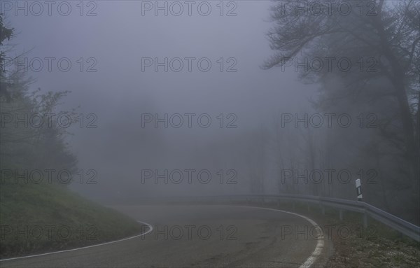 Fog, low visibility, road, forest on Blauen mountain, Badenweiler, Black Forest, Baden-Wuerttemberg, Germany, Europe