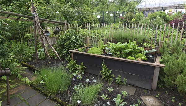 DEU. Germany, Iserlohn: This hobby gardener in Iserlohn maintains an extraordinary garden with numerous non-native plants