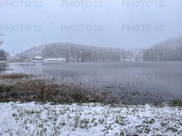 Snowfall at Spitzingsee, Bavaria, Germany, Europe