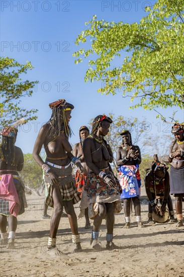 Hakaona woman with traditional kapapo hairstyle, clapping and dancing, Angolan tribe of the Hakaona, near Opuwo, Kunene, Namibia, Africa