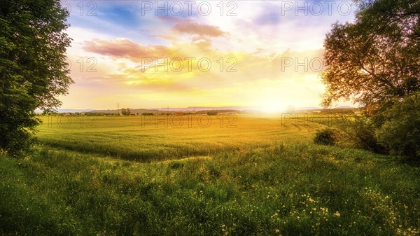 Agriculture areas are illuminated by the morning sun