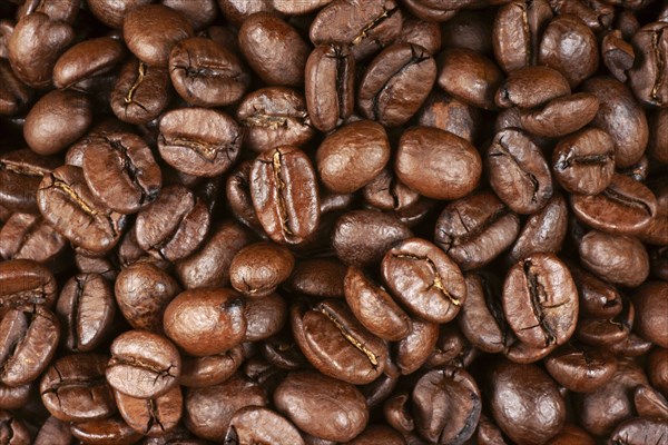 Background of roasted arabica coffee beans