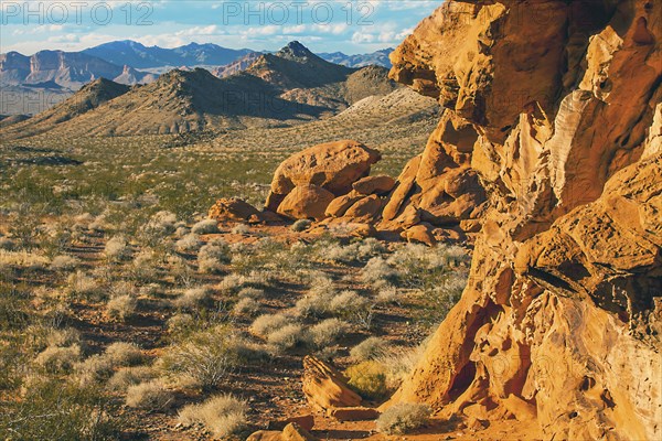 Lake Mead National Recreation Area