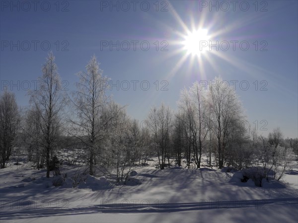 Winter in Lapland