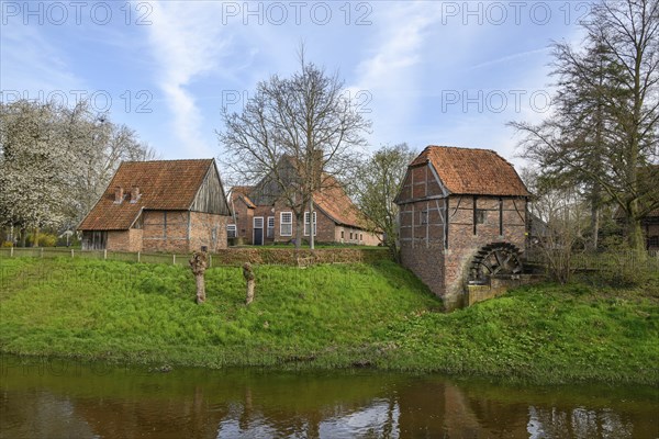 Small historic village with farmhouses, windmill and a river with a water wheel in a rural landscape, Vreden, North Rhine-Westphalia, Germany, Europe