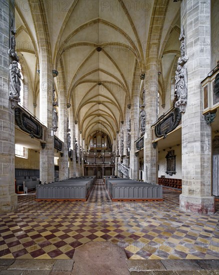 Wäldner organ in Halle Cathedral, Halle Cathedral, interior, Halle an der Saale, Saxony-Anhalt, Germany, Europe