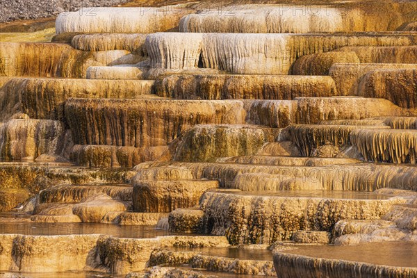 Canary spring terrace are formed by hot water