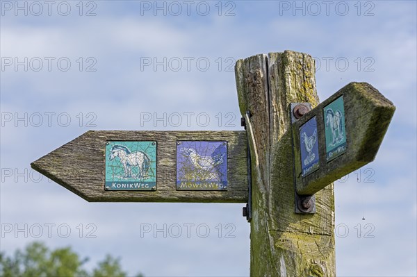 Signpost, Geltinger Birk, Geltinger Bucht, Nieby, Schleswig-Holstein, Germany, Europe