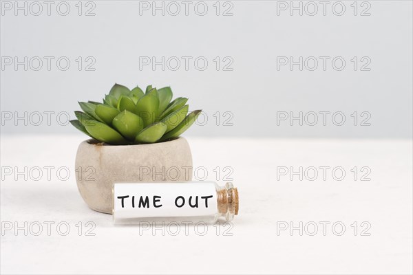 Cactus in a pot on a grey background, glass bottle with the phrase time out, work life balance, desk at an office