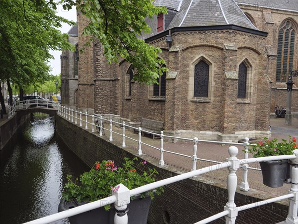 Church building next to a canal with flower pots and trees, Delft, Holland, Netherlands