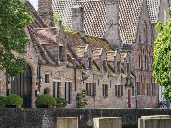 Historic brick building with decorative gables and green tree in sunny weather, Bruges, Flanders, Belgium, Europe