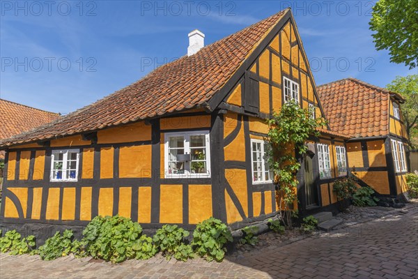 Faborg, Faaborg, picturesque old town with colourful houses, half-timbered houses, plants, gabled houses, cobblestones, Fyn, island of Funen, south coast, Danish South Sea, Denmark, Europe