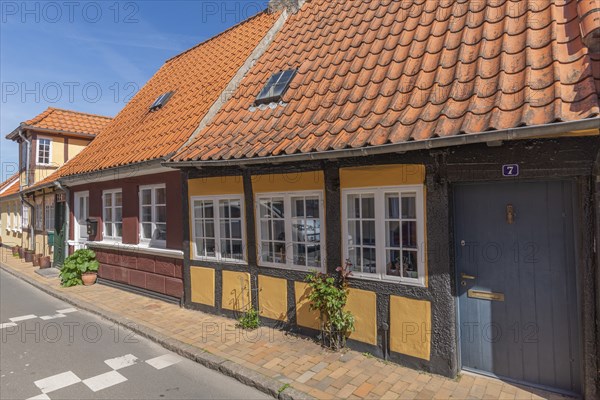 Faborg, Faaborg, picturesque old town with colourful houses, half-timbered houses, low gabled houses, Hautür, plants, Fyn, island of Funen, south coast, Danish South Sea, Denmark, Europe