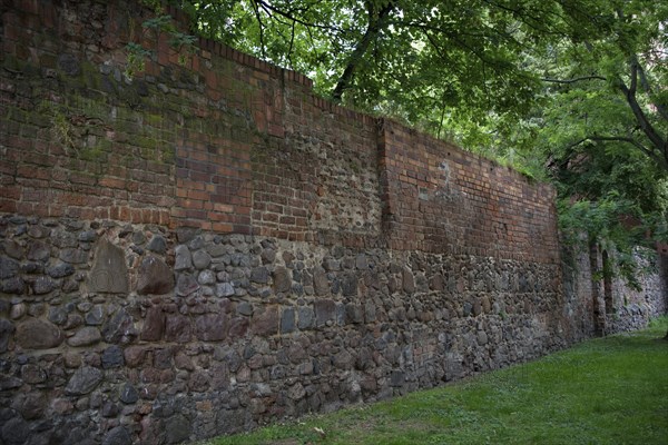 Remains of the medieval city wall in the Mitte district, Berlin, Germany, Europe