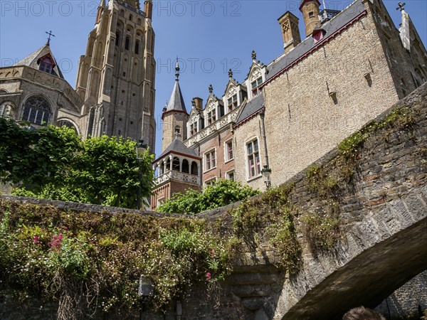 Historic buildings and church tower, surrounded by plants, near a bridge under blue sky, Bruges, Belgium, Europe