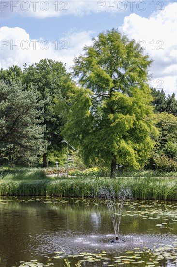 Calm pond with splashing fountain under cloudy sky and green vegetation, bad zwischenahn, Lower Saxony, Germany, Europe