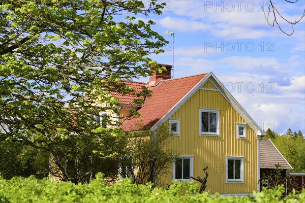 Traditional wooden farmhouse in southern Sweden in a yellow colour scheme. Old traditional wooden farmhouse in Sweden. Yellow painted traditional farmhouse in the Swedsih countryside