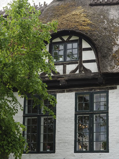Windows of a half-timbered house with thatched roof, flanked by trees and traditional architecture, arnis, schlewsiwg-holstein, germany