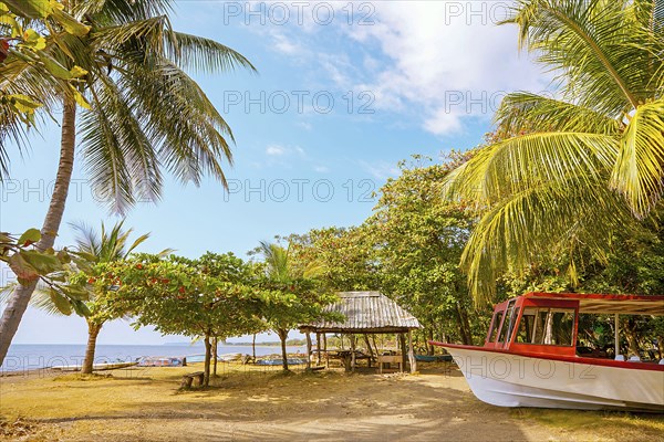 On the beach of Playa Tarcoles Costa Rica