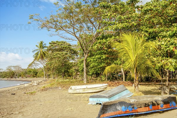 On the beach of Playa Tarcoles Costa Rica