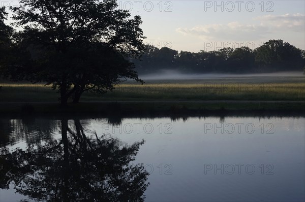 Summer morning atmosphere, morning fog, Germany, Europe