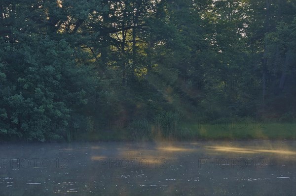 Summer morning atmosphere, morning fog, Germany, Europe