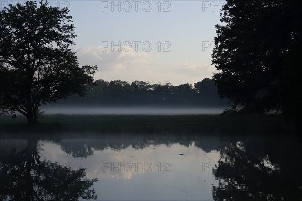 Summer morning atmosphere, morning fog, Germany, Europe