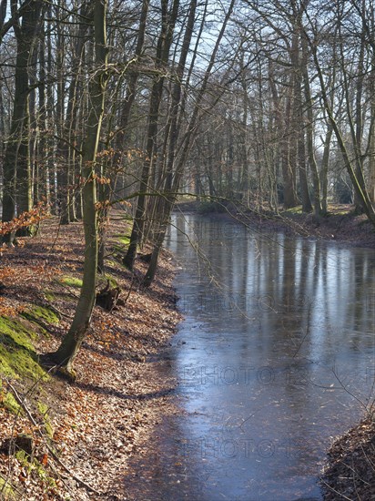 River flowing through a bare forest in autumn, with frozen water and calm atmosphere, ruurlo, gelderland, the netherlands