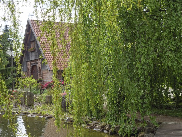 A half-timbered house with a tiled roof, surrounded by a willow and a pond, with blooming flowers and lush vegetation, marbeck, westphalia, germany