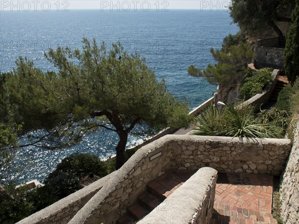 A stone staircase leading along a rocky coastline with trees and a view of the sea, monte carlo, monaco, france