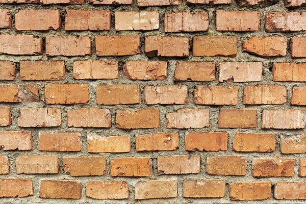 Red Brick Wall Old Weathered Texture Background. Abstract Grunge Stone Pattern, Aged Red Wall with Small Cracks