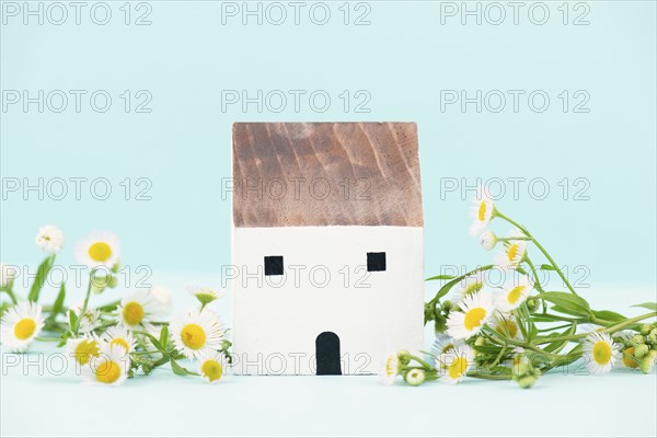 House with flowers, buying or renting a home in nature, real estate concept, investment in property, sustainable lifestyle