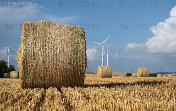 Straw bale on the field, cultivated barley, harvest in the summer, agriculture for food, farmland on the countryside