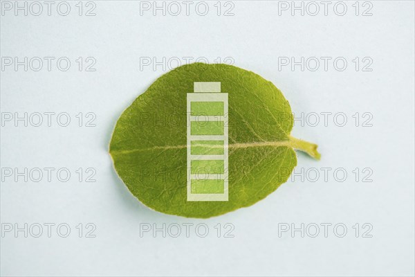 Green energy battery on a leaf, sustainable renewable electricity power, csr concept, environment protection, eco technology