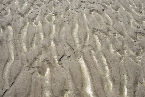 Sand beach with texture and shallow water, North Sea, wadden sea in the Normandy, France, Europe