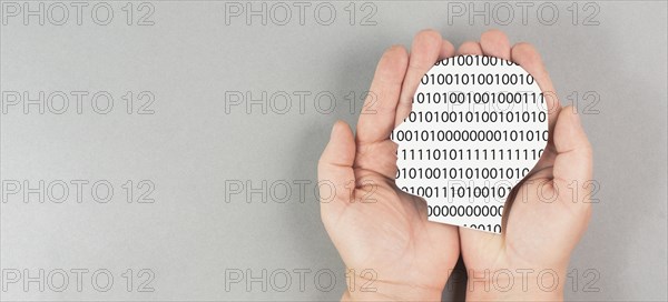 Head with software code, digitization and artificial intelligence concept, connect to the web