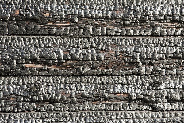 Fire heat burnt black coal ruined wood log house