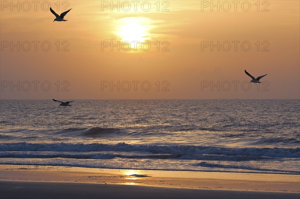 Sunset on the atkantic ocean. Florida, USA, North America
