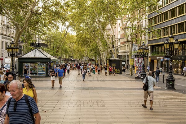Der von Bäumen gesäumte Boulevard La Rambla, Barcelona, Spanien