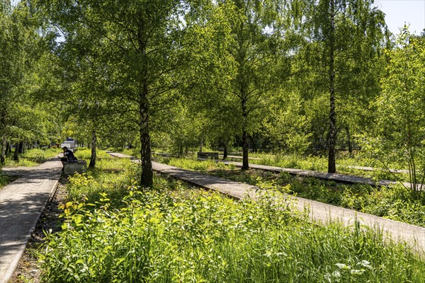 Zollverein Coal Mine Industrial Complex World Heritage Site in Essen, Zollverein Park on the site of the mine's former railway tracks, North Rhine-Westphalia, Germany, Europe