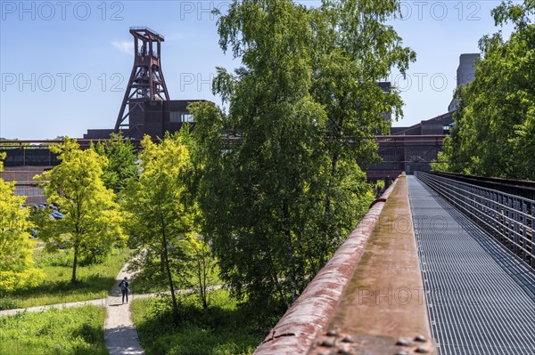 Zollverein Coal Mine Industrial Complex World Heritage Site in Essen, Zollverein Park on the site of the mine's former railway tracks, North Rhine-Westphalia, Germany, Europe