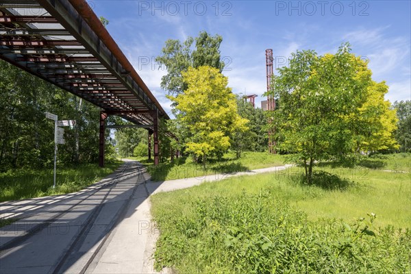 Zollverein Coal Mine Industrial Complex World Heritage Site in Essen, Zollverein Park on the site of the mine's former railway tracks, North Rhine-Westphalia, Germany, Europe