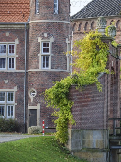 A detail of a historic castle with red brick walls, windows and ivy, embedded in an autumnal setting, gemen, münsterland, westphalia, germany