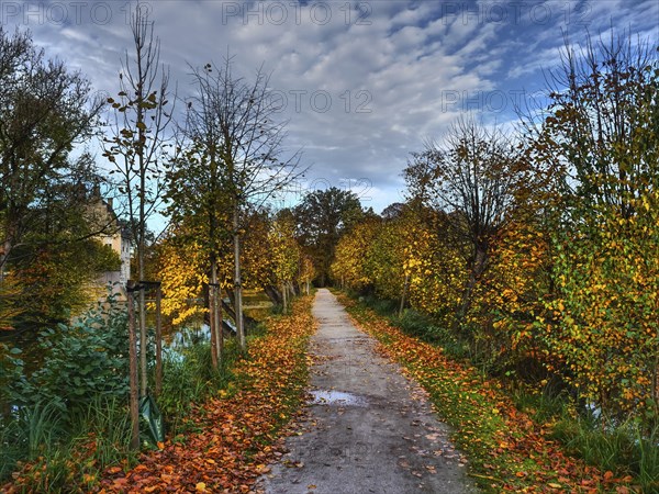 A long path lined with golden and orange leaves leads through an autumn landscape under a cloudy sky, gemen, münsterland, westphalia, germany