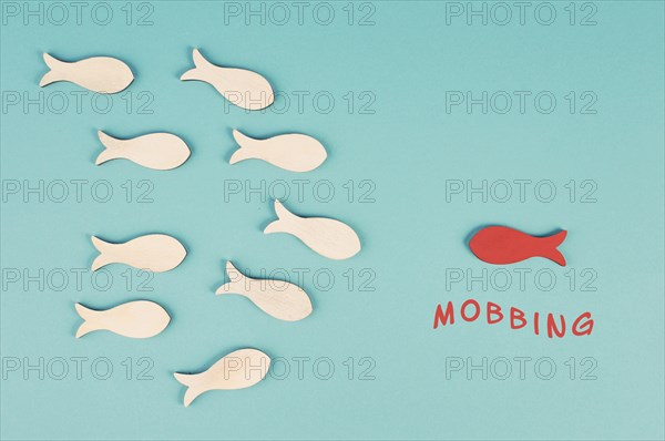 Group of fish mobbing a victim, social conflict, bullying one, discrimination and exclusion